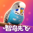 智鸟先飞安卓正版