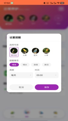智鸟先飞安卓正版5 智鸟先飞安卓正版5