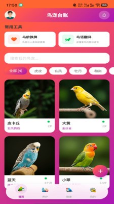 智鸟先飞安卓正版
