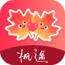 枫遇安卓免费版