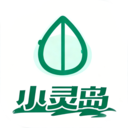 小灵岛app最新版