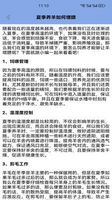 福气小羊安卓最新版2 福气小羊安卓最新版2