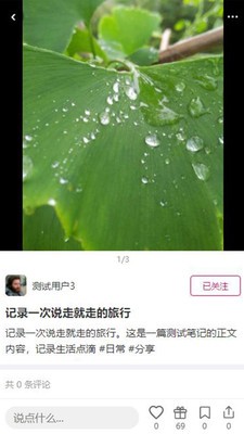 汀鸟app官方版