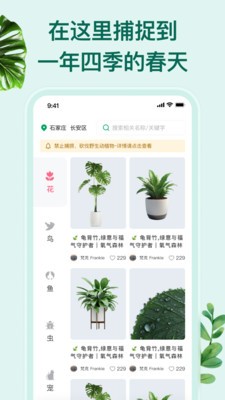 花鸟鱼虫app最新版3 花鸟鱼虫app最新版3