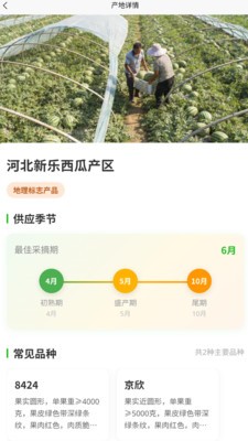 菜查查安卓最新版3 菜查查安卓最新版3