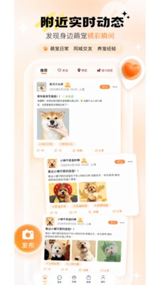 宠问安卓最新版4 宠问安卓最新版4