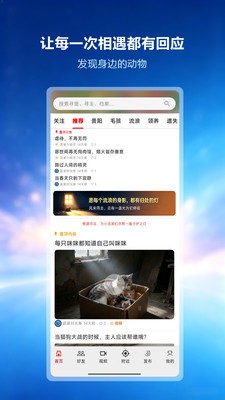 蓝星精灵安卓免费版2 蓝星精灵安卓免费版2