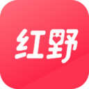 红野同城安卓最新版