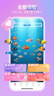 浪啵啵安卓免费版5