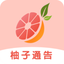 柚子通告安卓官方版