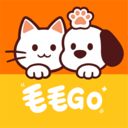 毛毛GO下载app最新版