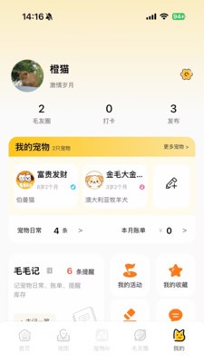 毛毛GO下载app最新版1