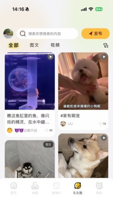 毛毛GO下载app最新版4