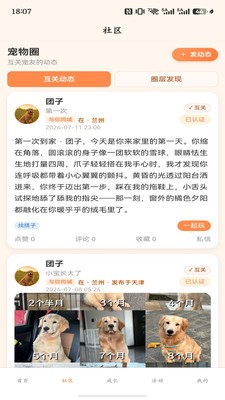 PawMeet安卓免费版2