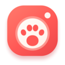 毛球在家app下载安装最新版